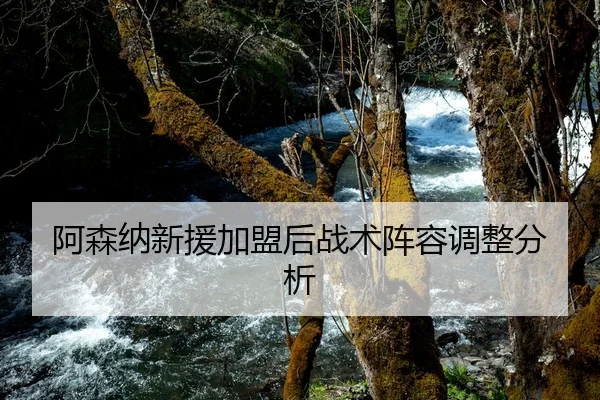 阿森纳新援加盟后战术阵容调整分析